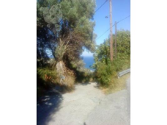 Κύμη Ευβοίας οικοπεδο